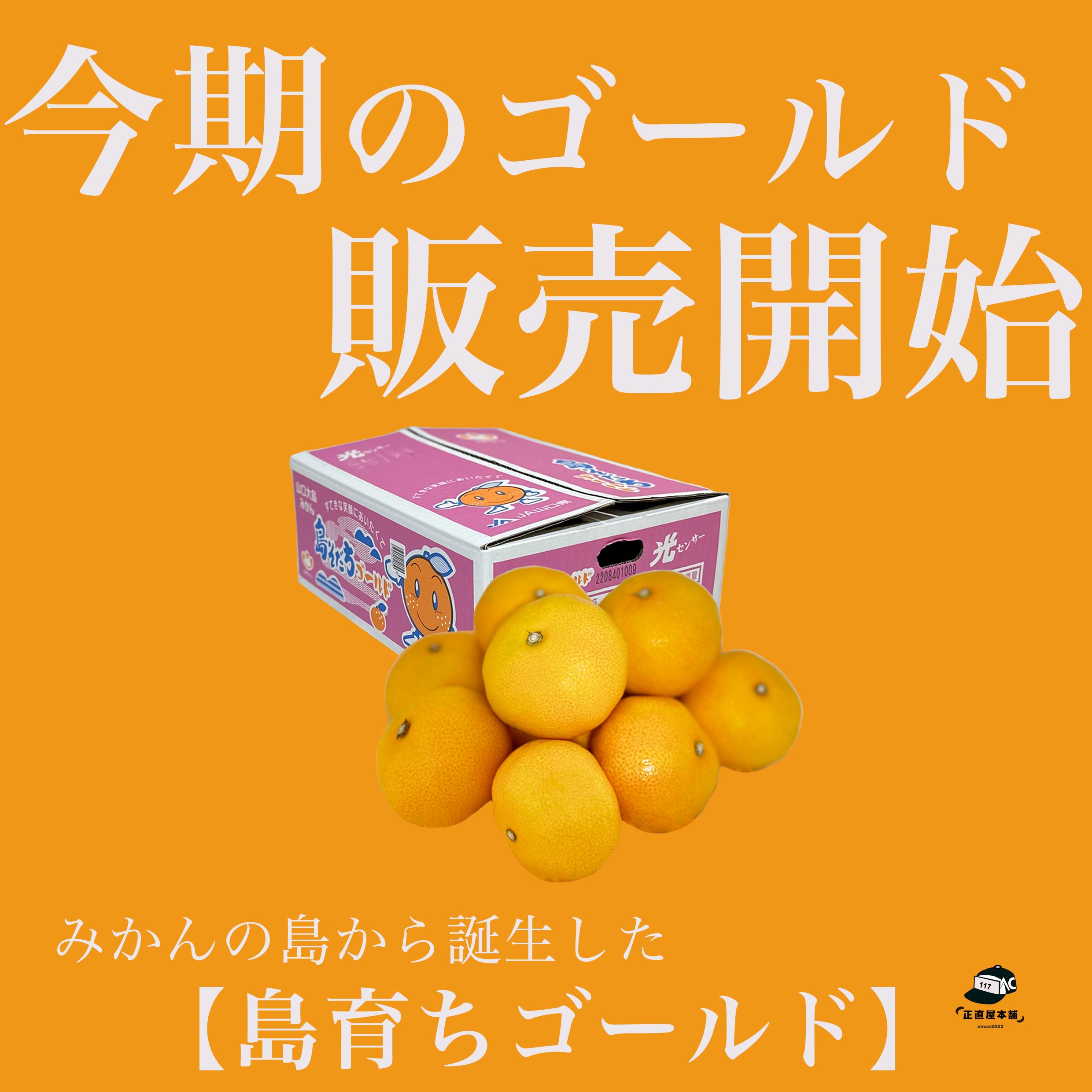 瀬戸内のハワイ、周防大島町から生まれた極上みかん「島育ち」 – 正直