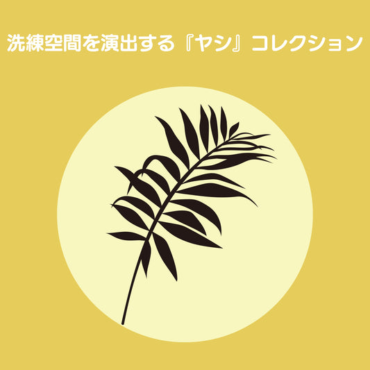 ヤシで叶える、上質な癒し空間|ヤシの観葉植物特集