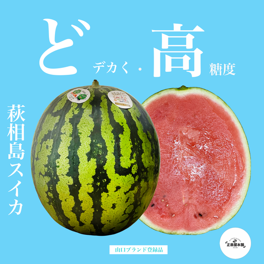 あま〜く!美味しい!!萩相島スイカ【山口ブランド登録スイカ】
