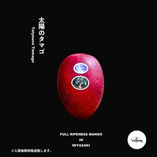 【太陽のタマゴ】南国の王様 宮崎県産高級完熟マンゴー