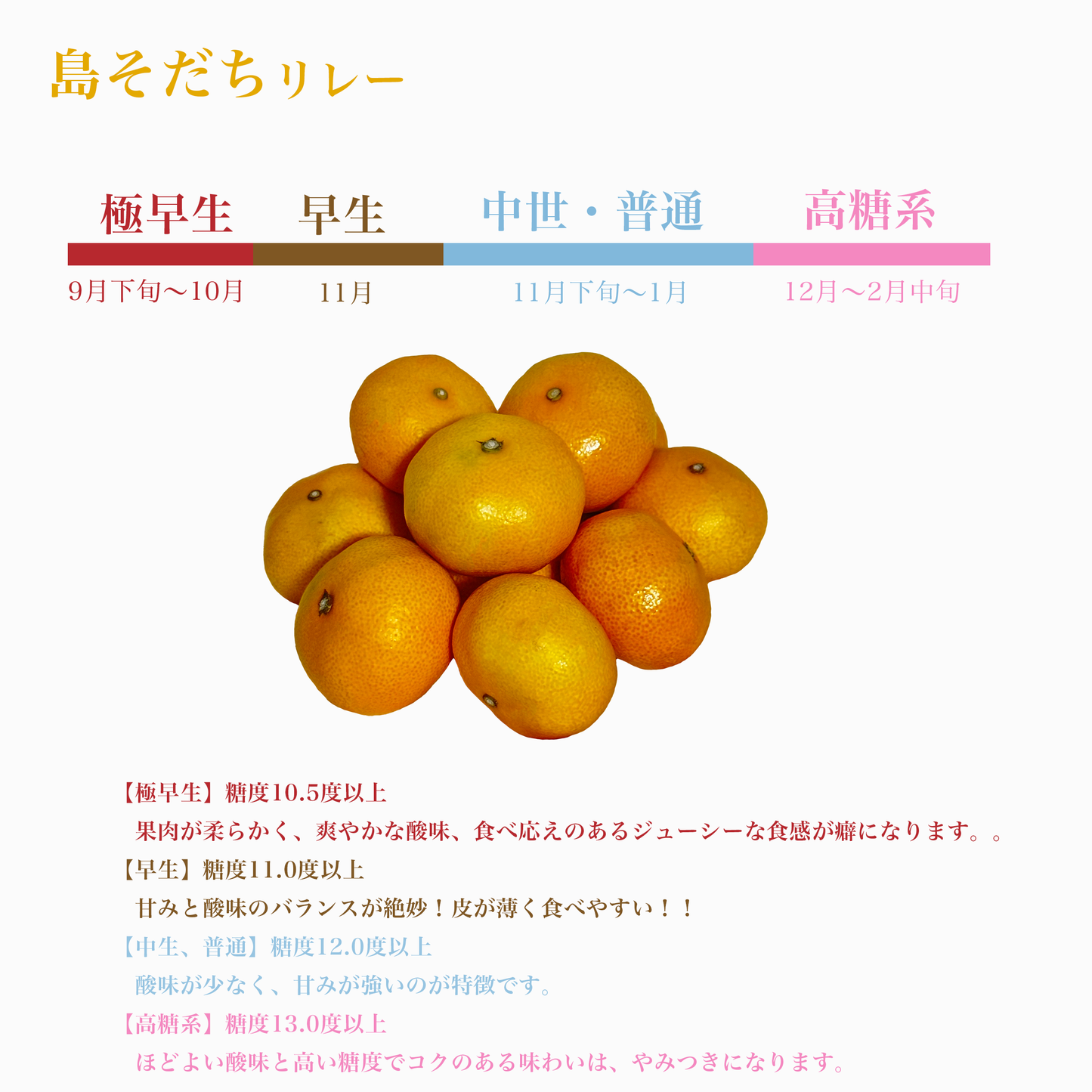 【島そだちシリーズの最高峰】 みかんの島から誕生した高品質のみかん島そだちゴールド 山口大島みかん
