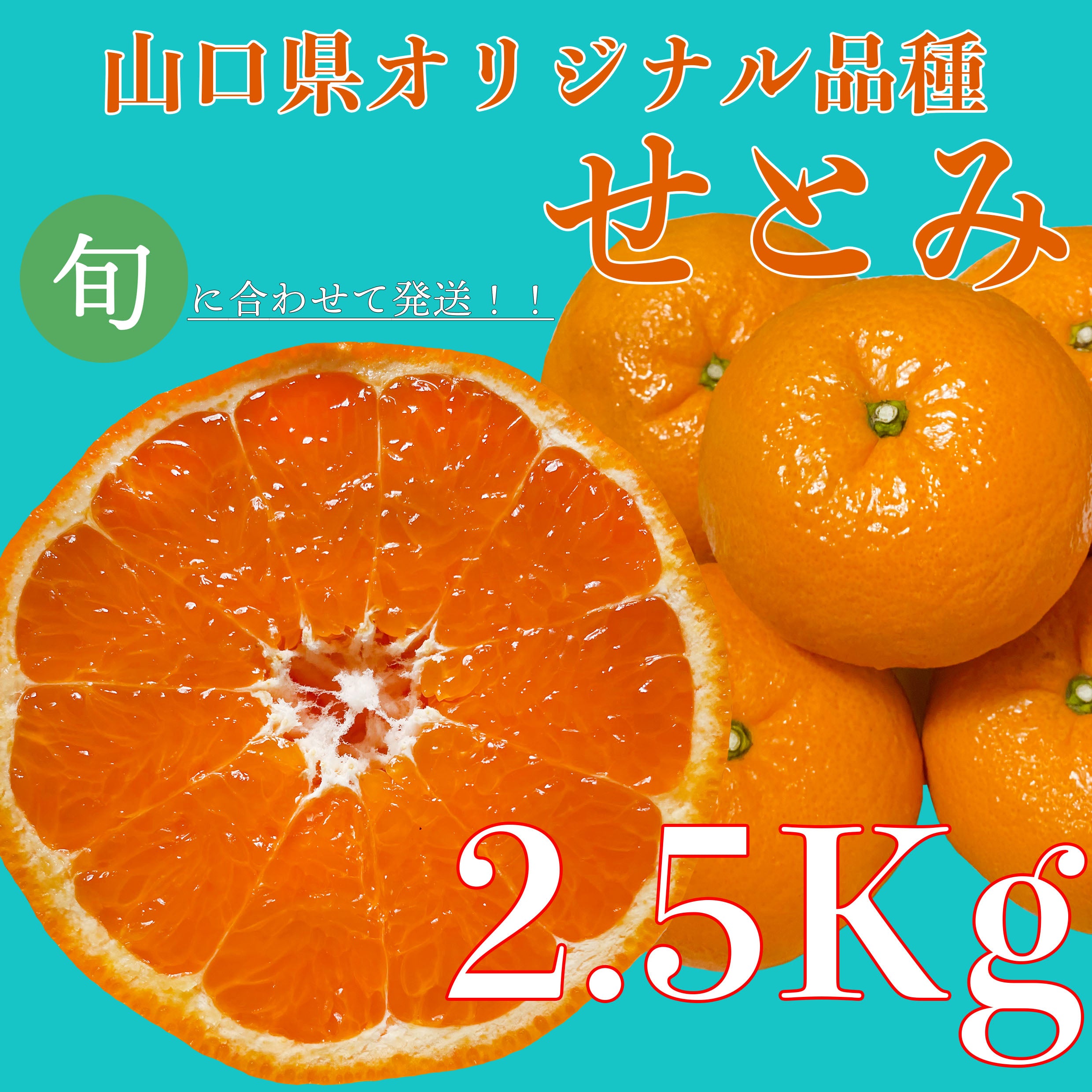 2.5_0f662401-41f3-44f9-abc3-