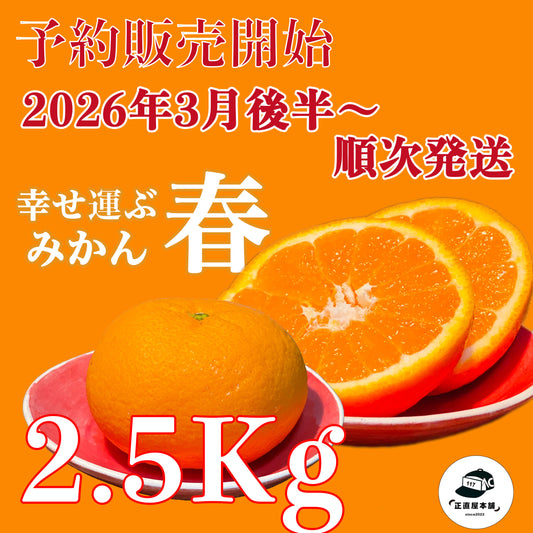 予約販売開始!【お得にお試し!みかんの島・周防大島町から届く幸せ運ぶゆめほっぺ(2.5kg)】