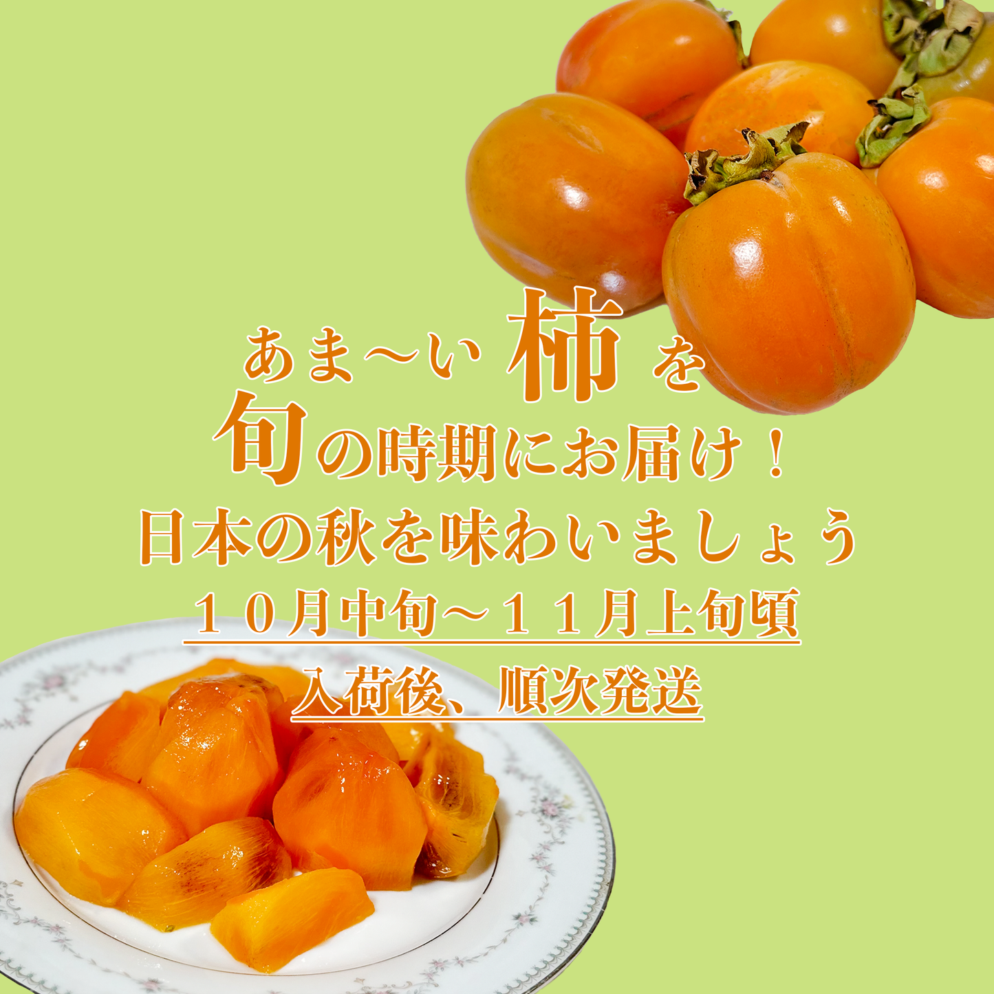 【10月中旬〜11月上旬頃順次発送】西条柿『こづち』—渋抜き技術で生まれた、なめらかな食感と上品な甘み!