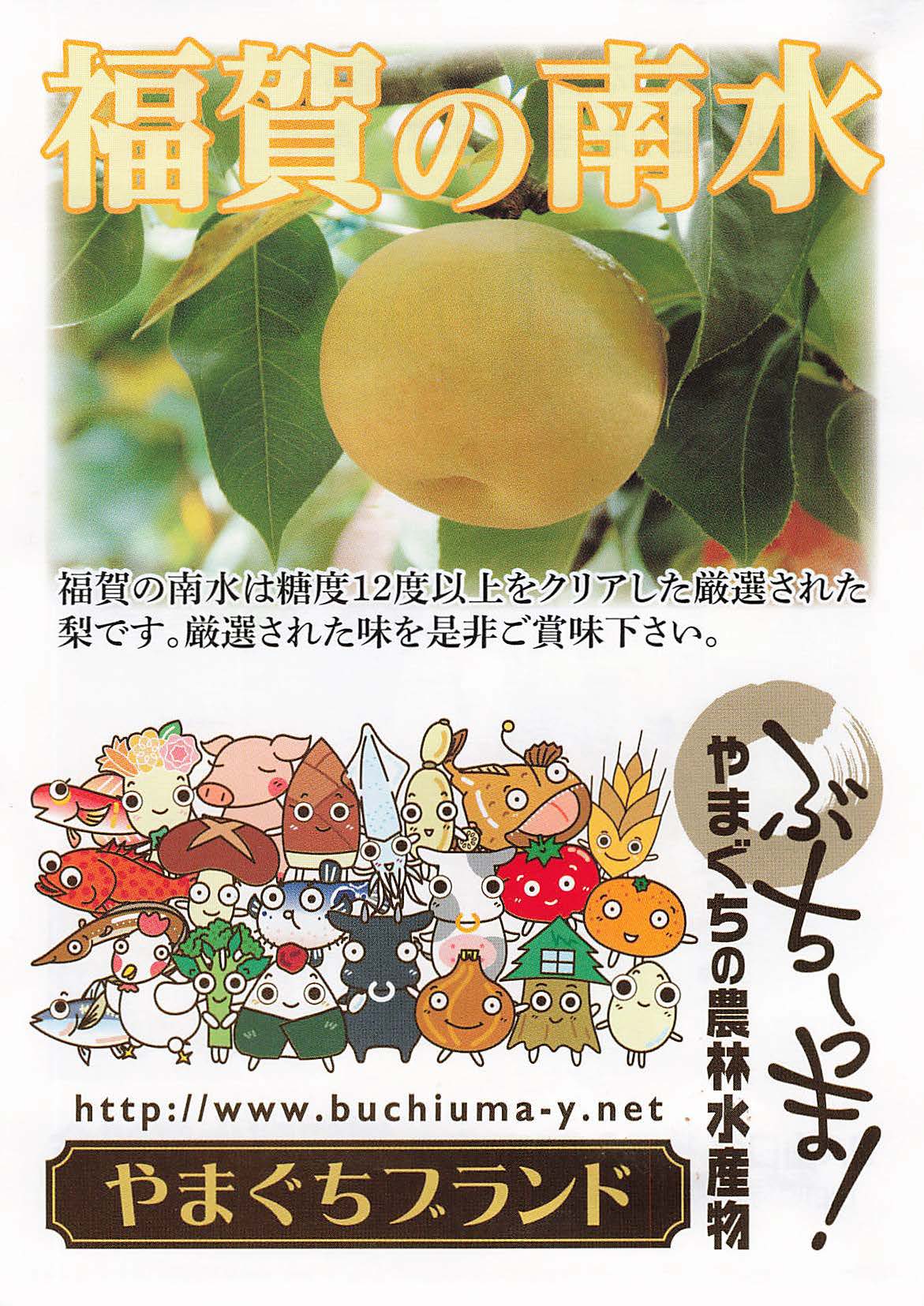 福をもたらす縁起の良い梨 山口県阿武郡阿武町福賀産【福賀(ふくが)の梨】