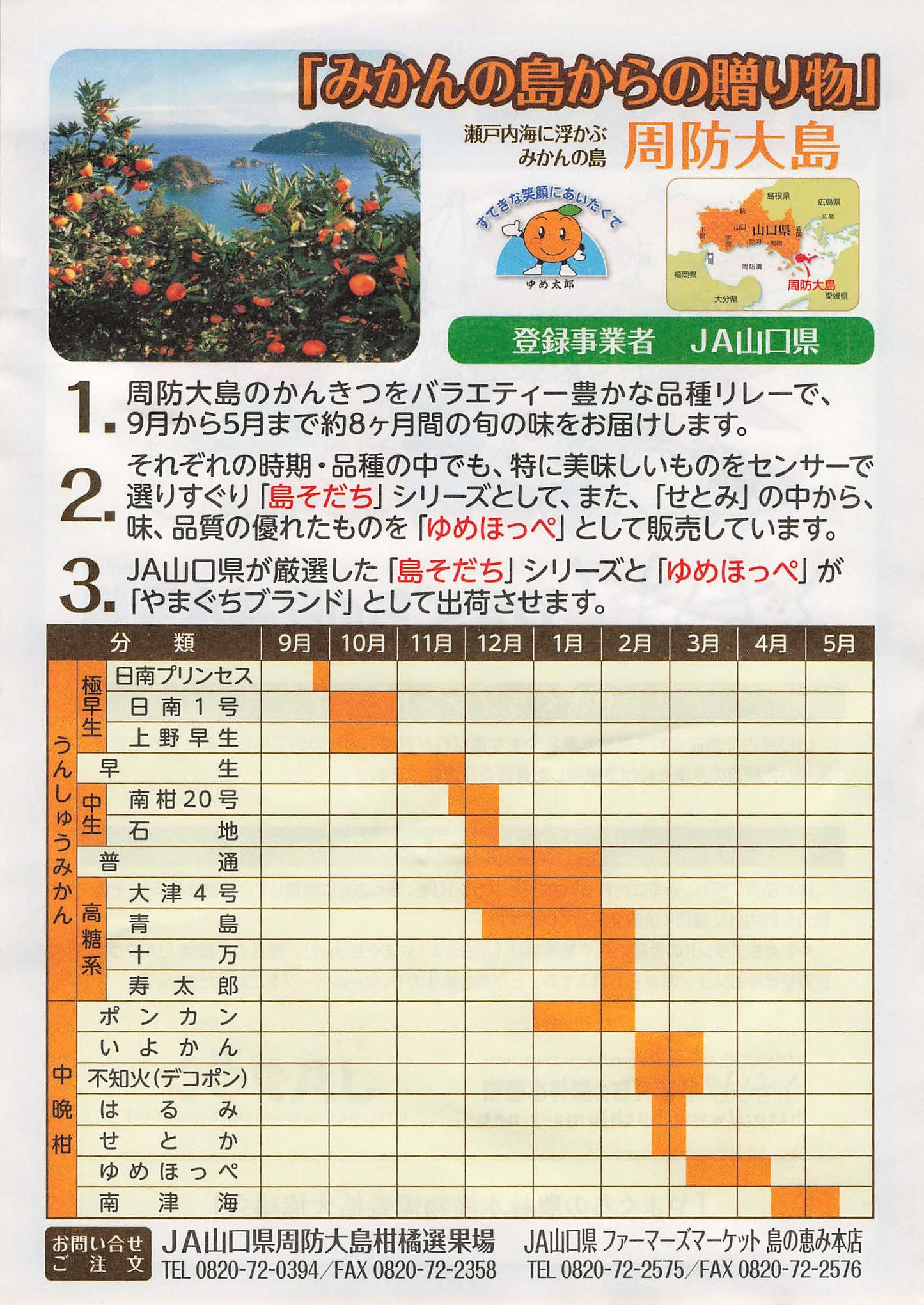 【島そだちシリーズの最高峰】 みかんの島から誕生した高品質のみかん島そだちゴールド 山口大島みかん