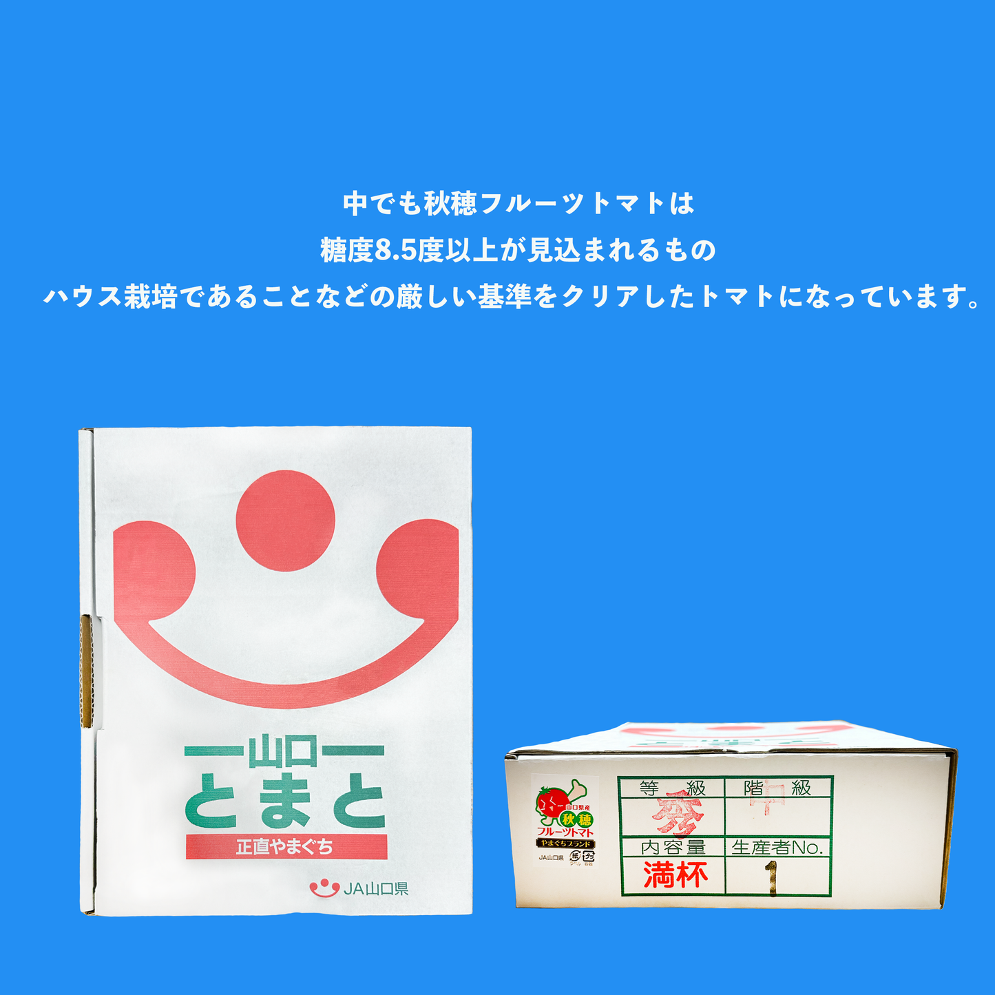 山口県秋穂が産んだ奇跡のフルーツトマト