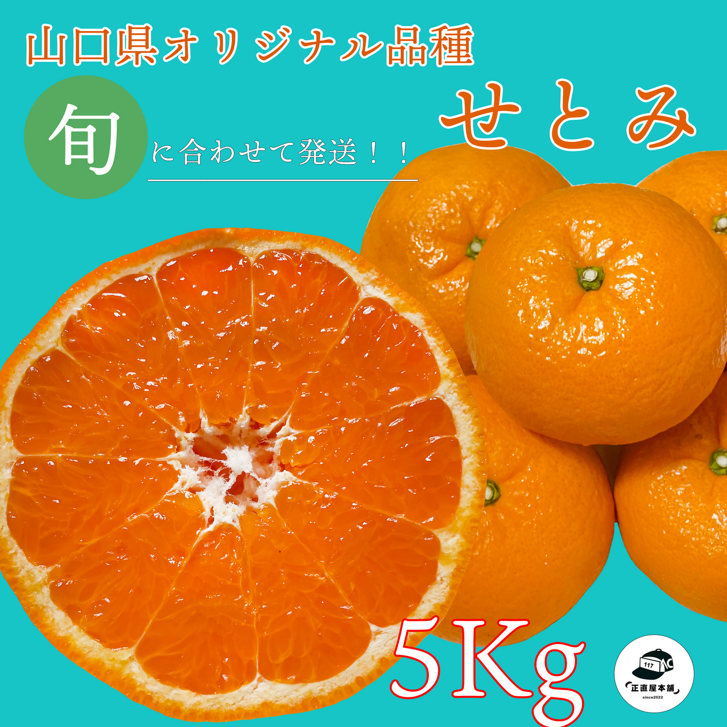 【せとみ】 山口県のオリジナル品種の春みかん