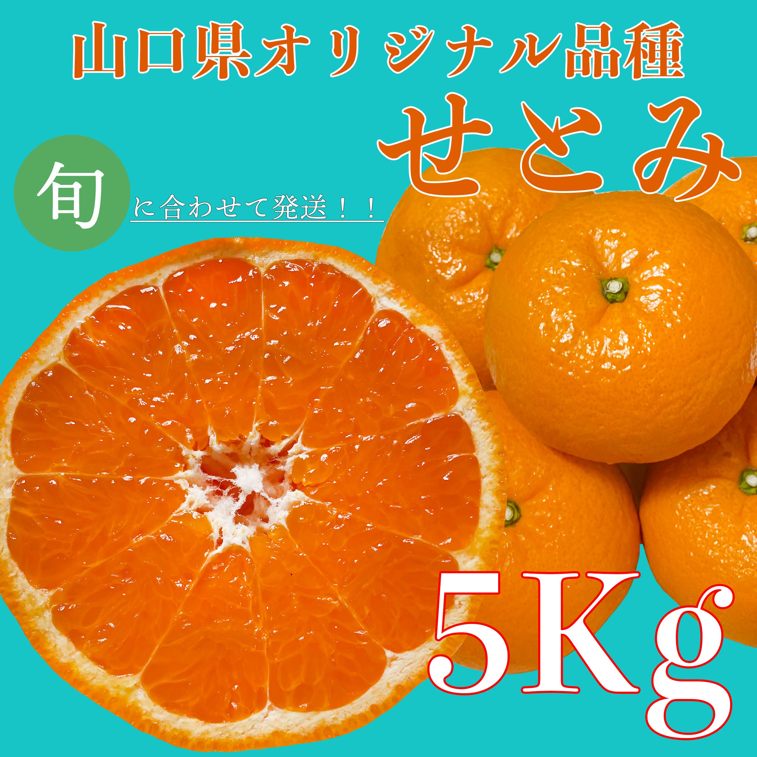 せとみ5kg】 山口県のオリジナル品種の春みかん – 正直屋本舗