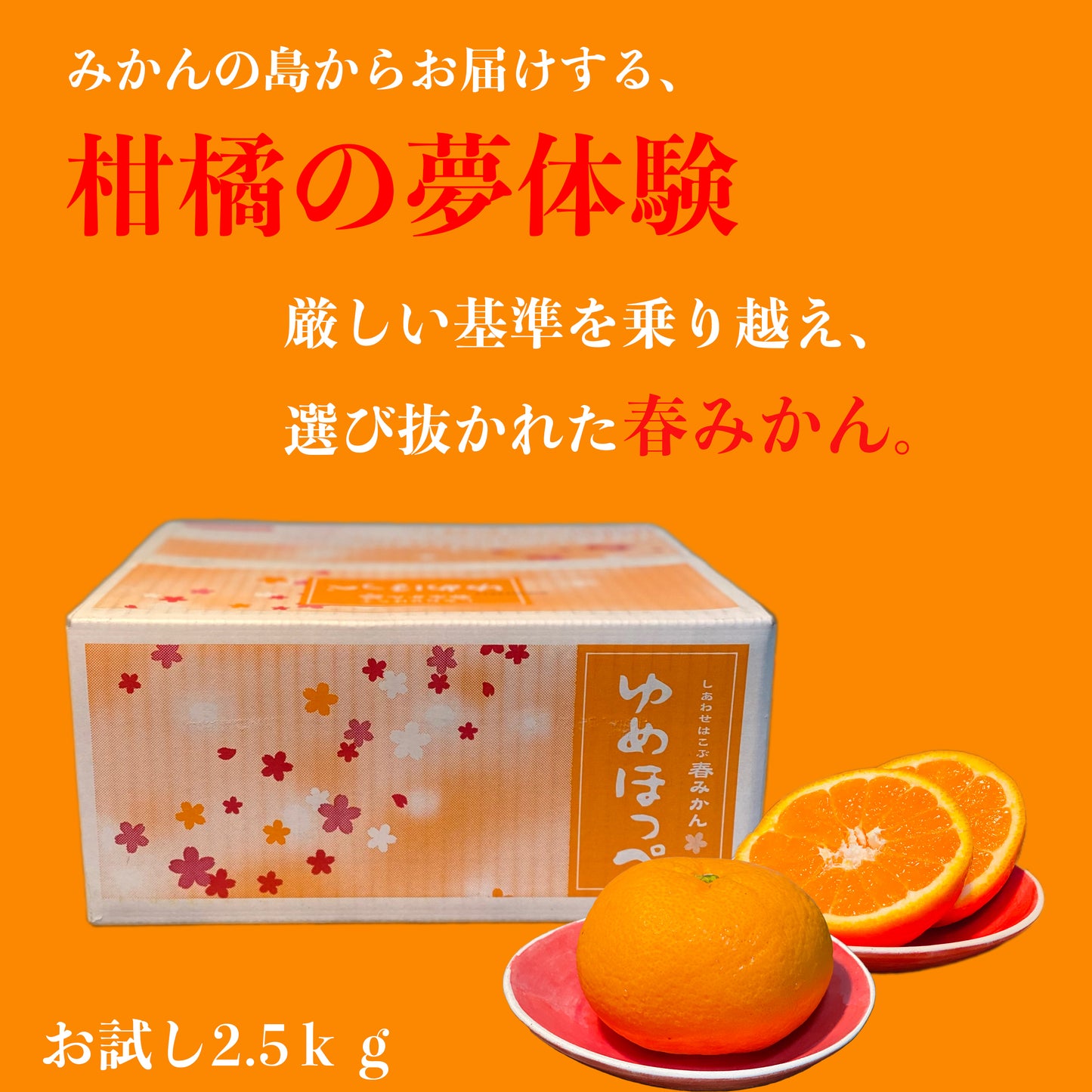 【お得にお試し!みかんの島・周防大島町から届く幸せ運ぶゆめほっぺ(2.5kg)】