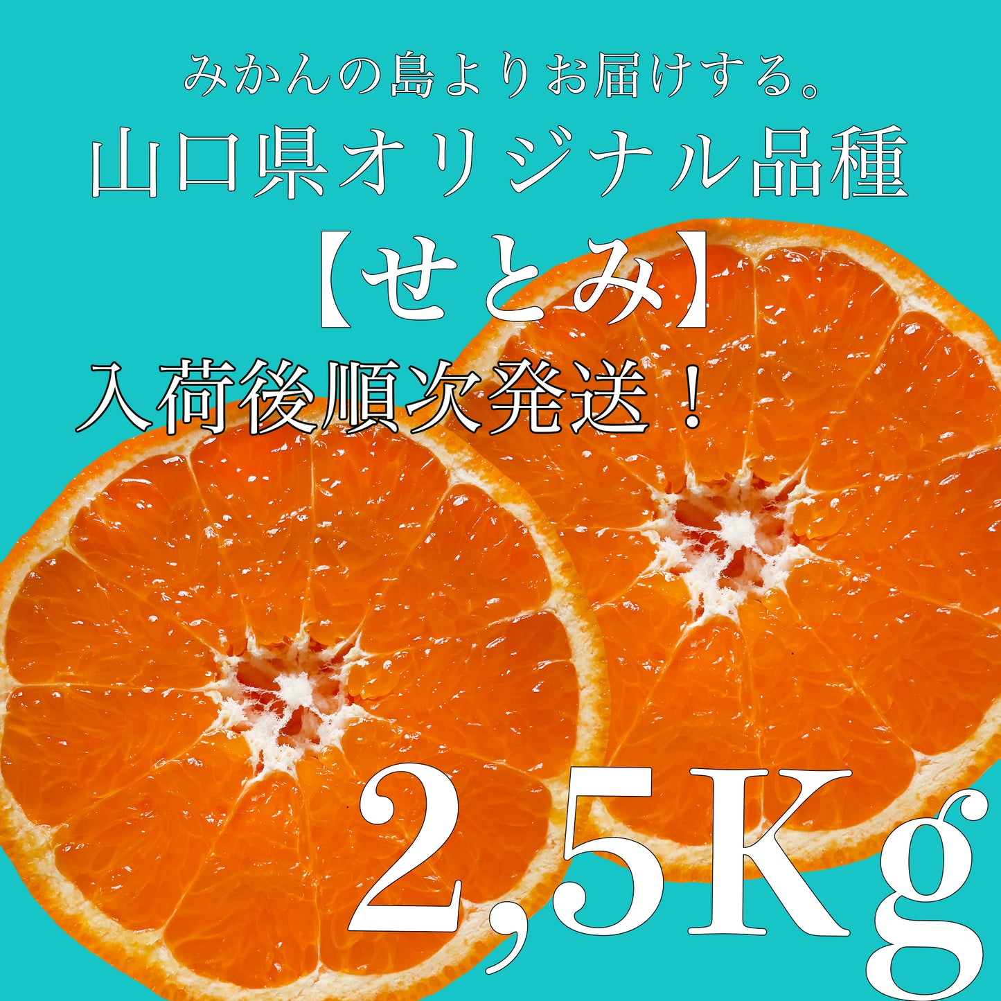 【お試しサイズ登場!山口県オリジナル春みかん『せとみ』2.5kg】