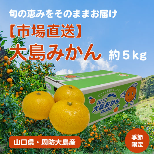 【約5kg】大島みかん – 山口県が誇る「みかんの島」の恵み【市場直送】