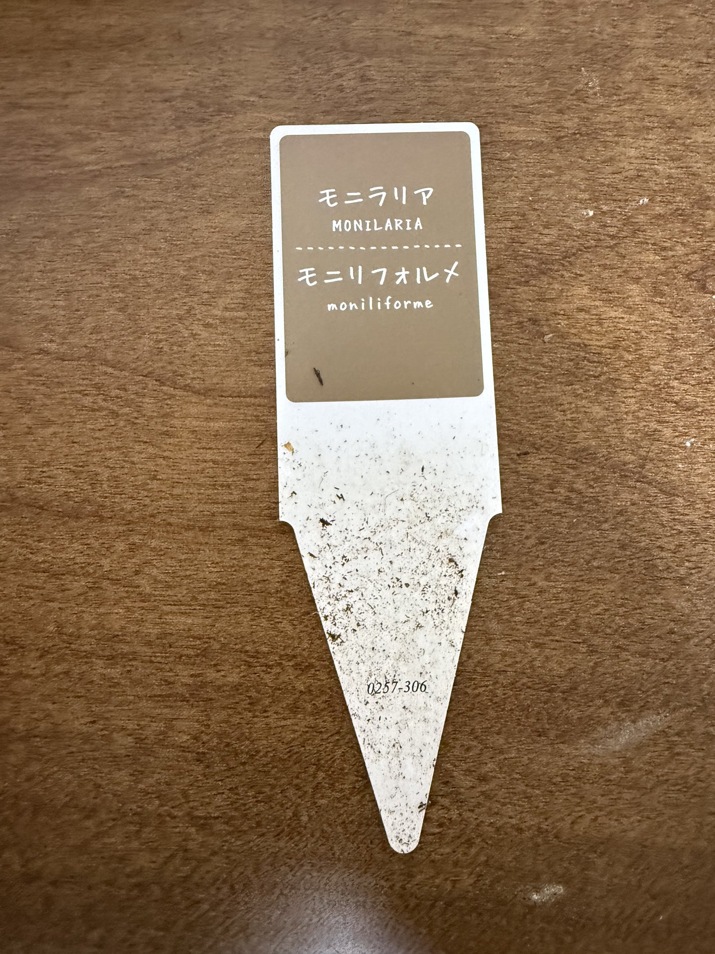 日々の癒しを、モニラリアが届ける!愛らしい植物で心の癒しを。