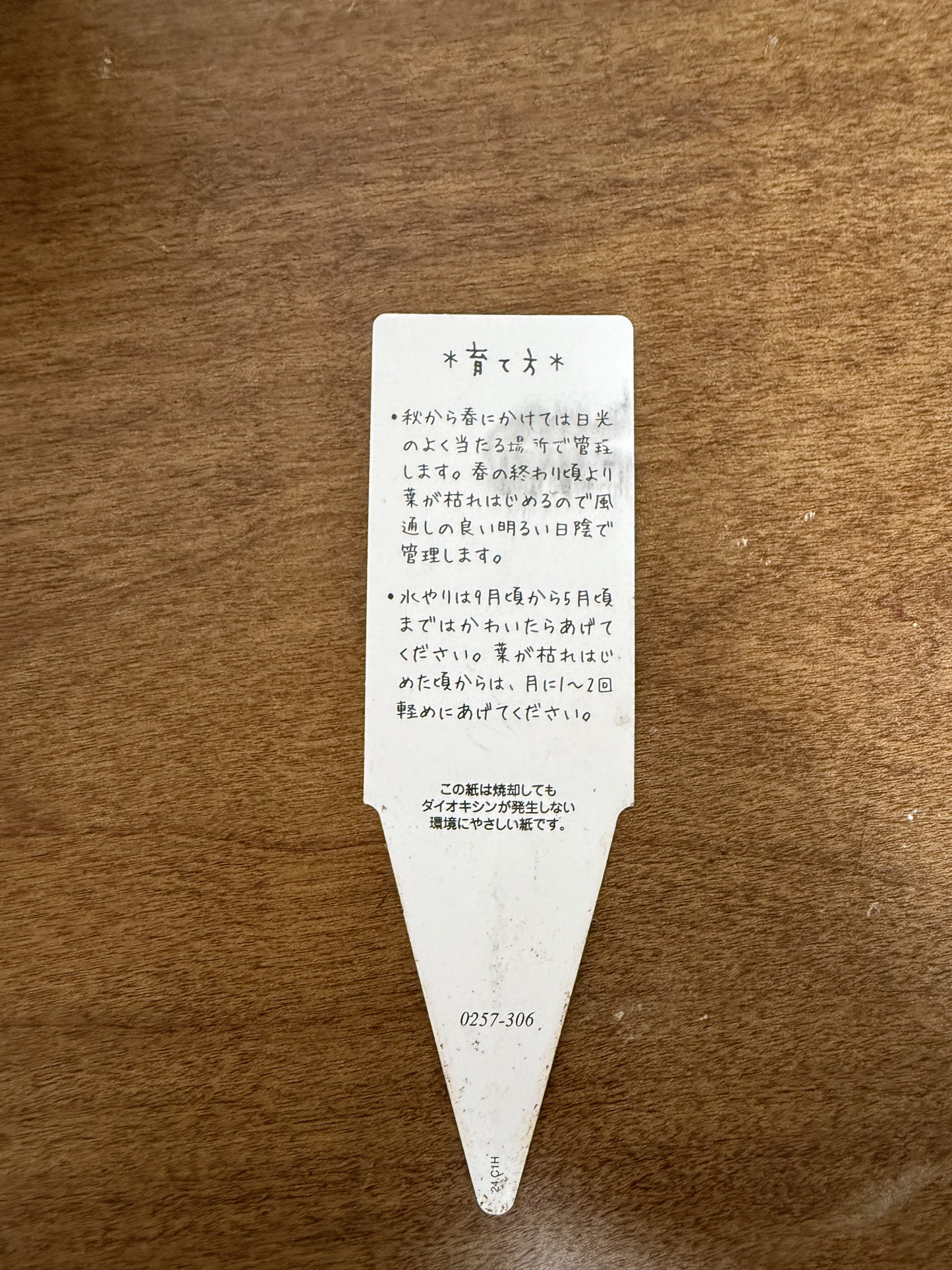 日々の癒しを、モニラリアが届ける!愛らしい植物で心の癒しを。