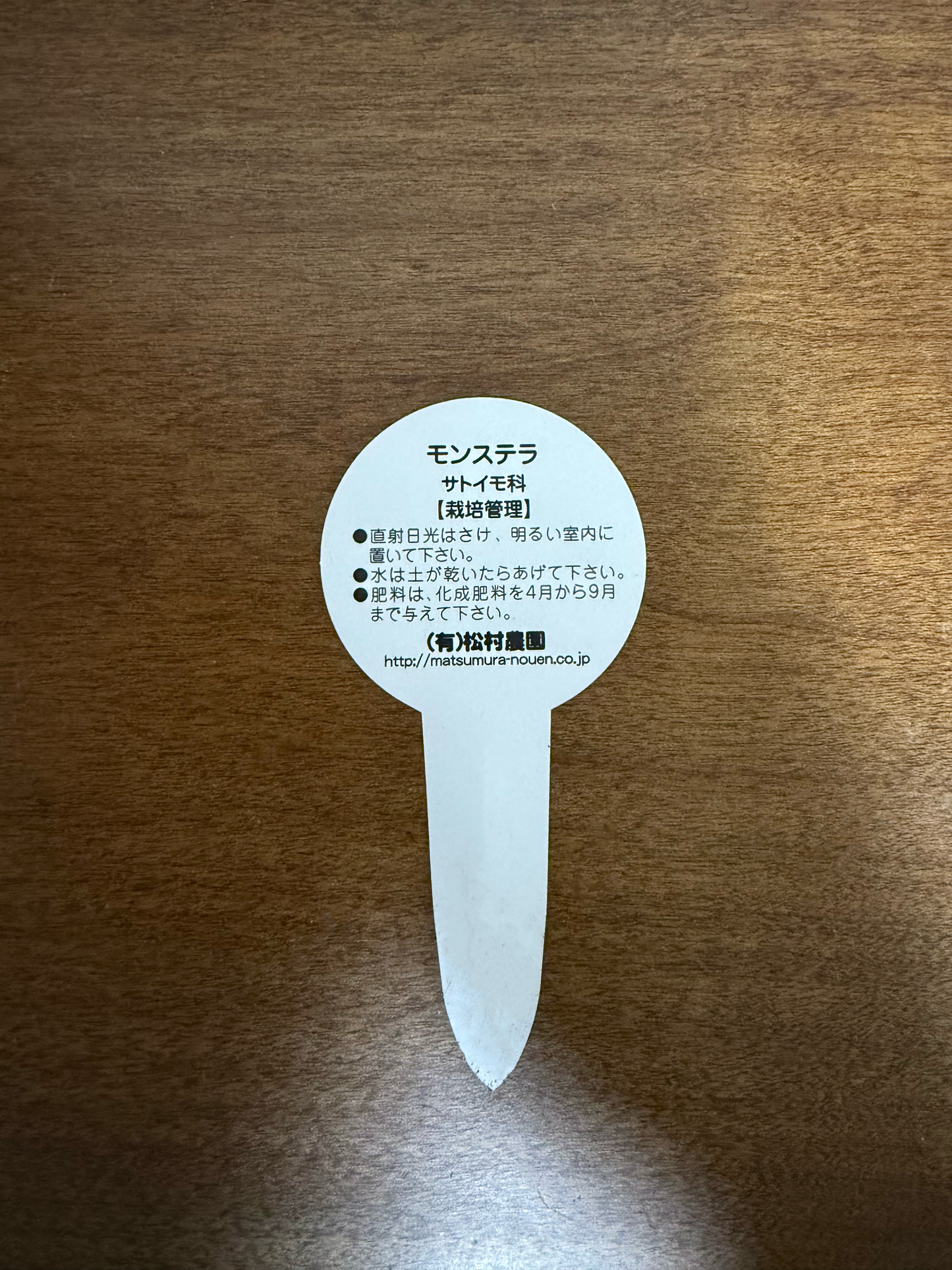 「幸福を呼ぶ観葉植物、モンステラでおしゃれな空間作り」