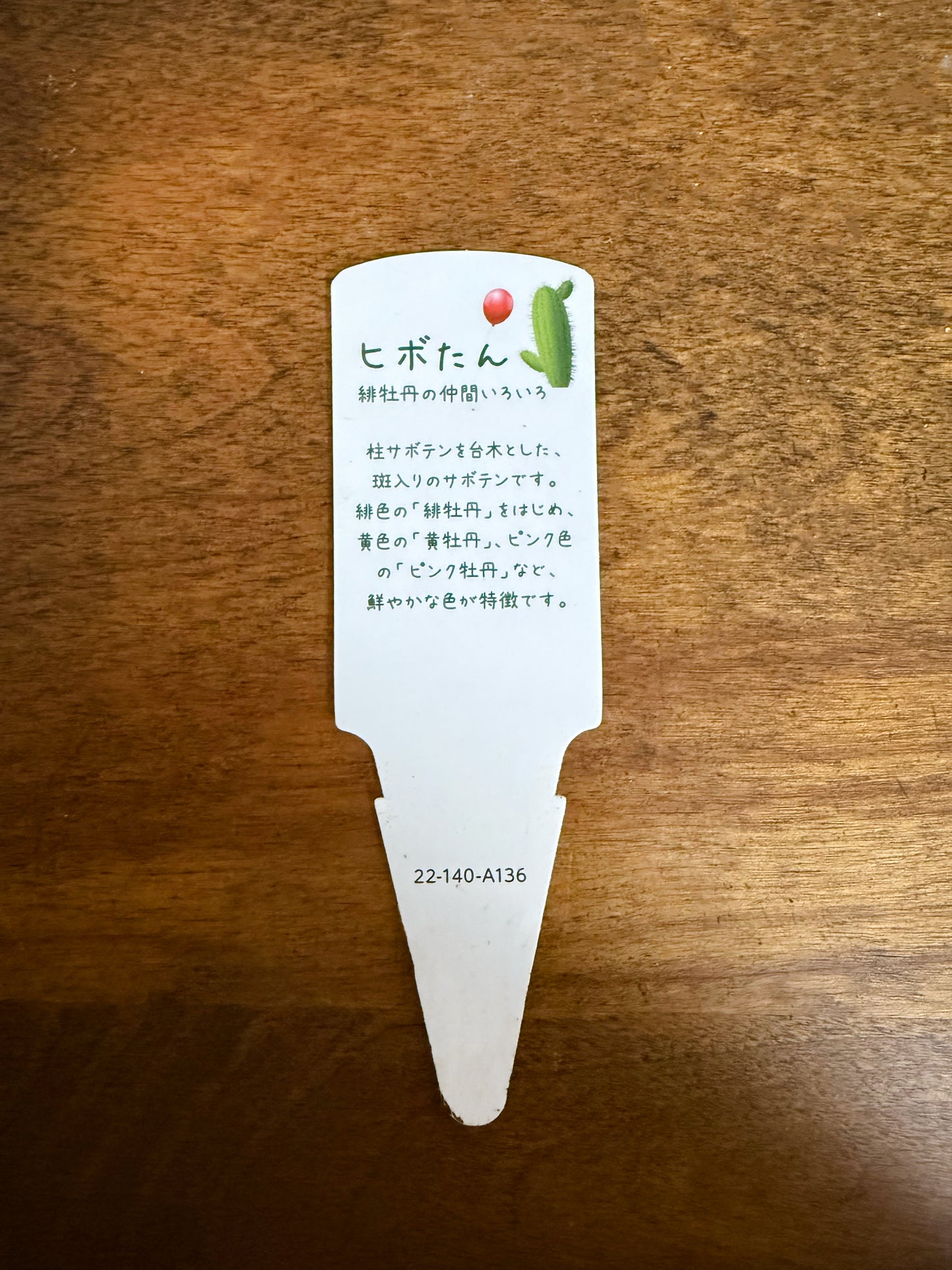 お部屋に生命力をプラス!カラフルなサボテン・ヒボタン