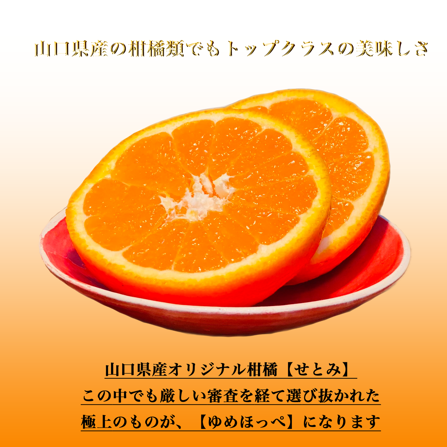 【ふるさと納税返礼品2025募集開始】みかんの島:瀬戸内のハワイ周防大島町から幸せ運ぶ春みかん【ゆめほっぺ】