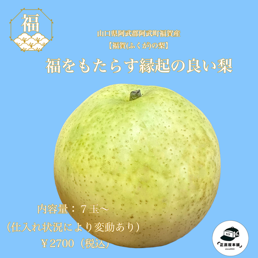 福をもたらす縁起の良い梨 山口県阿武郡阿武町福賀産【福賀(ふくが)の梨】