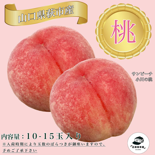 太陽の恵みを直接受け育つ高糖度の桃 小川の桃 「サンピーチ」