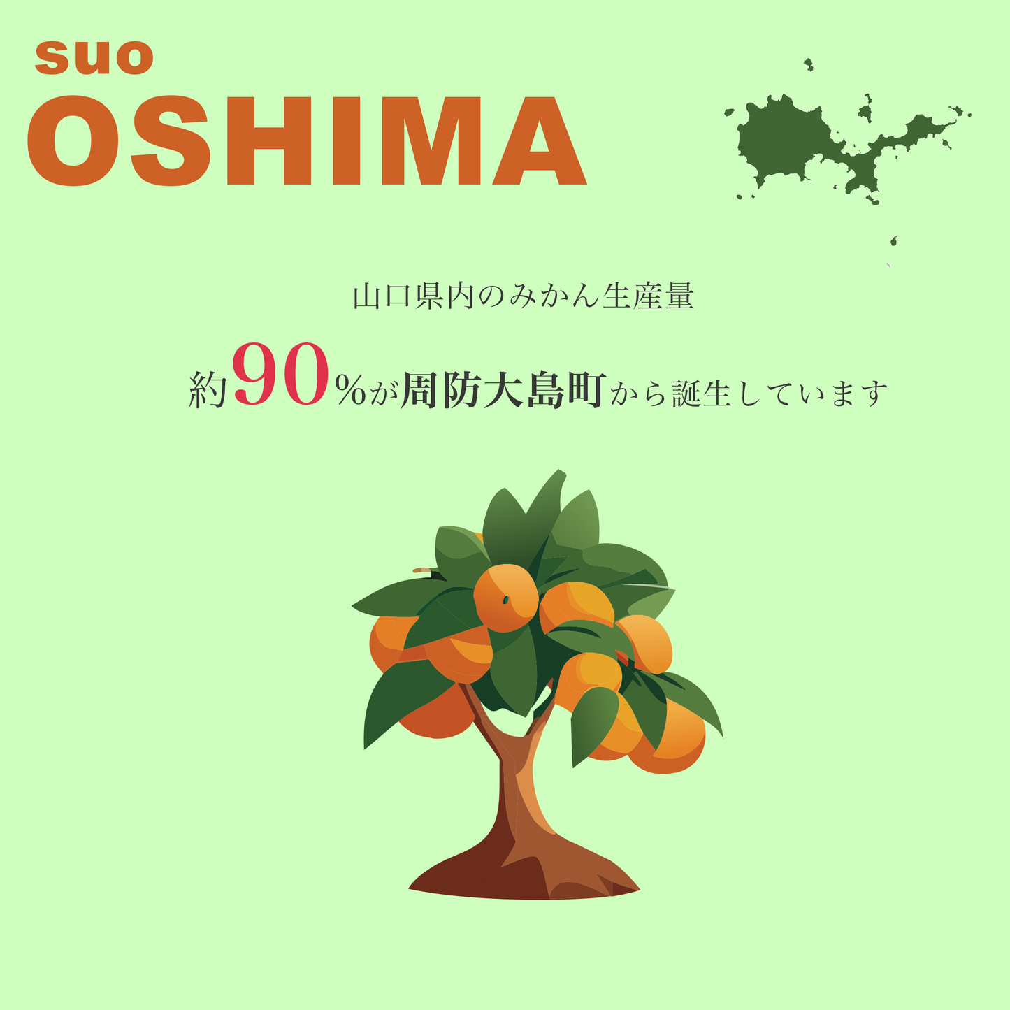 【約5kg】大島みかん - 山口県が誇る「みかんの島」の恵み