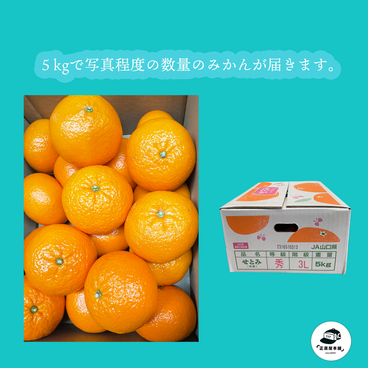【せとみ】 山口県のオリジナル品種の春みかん