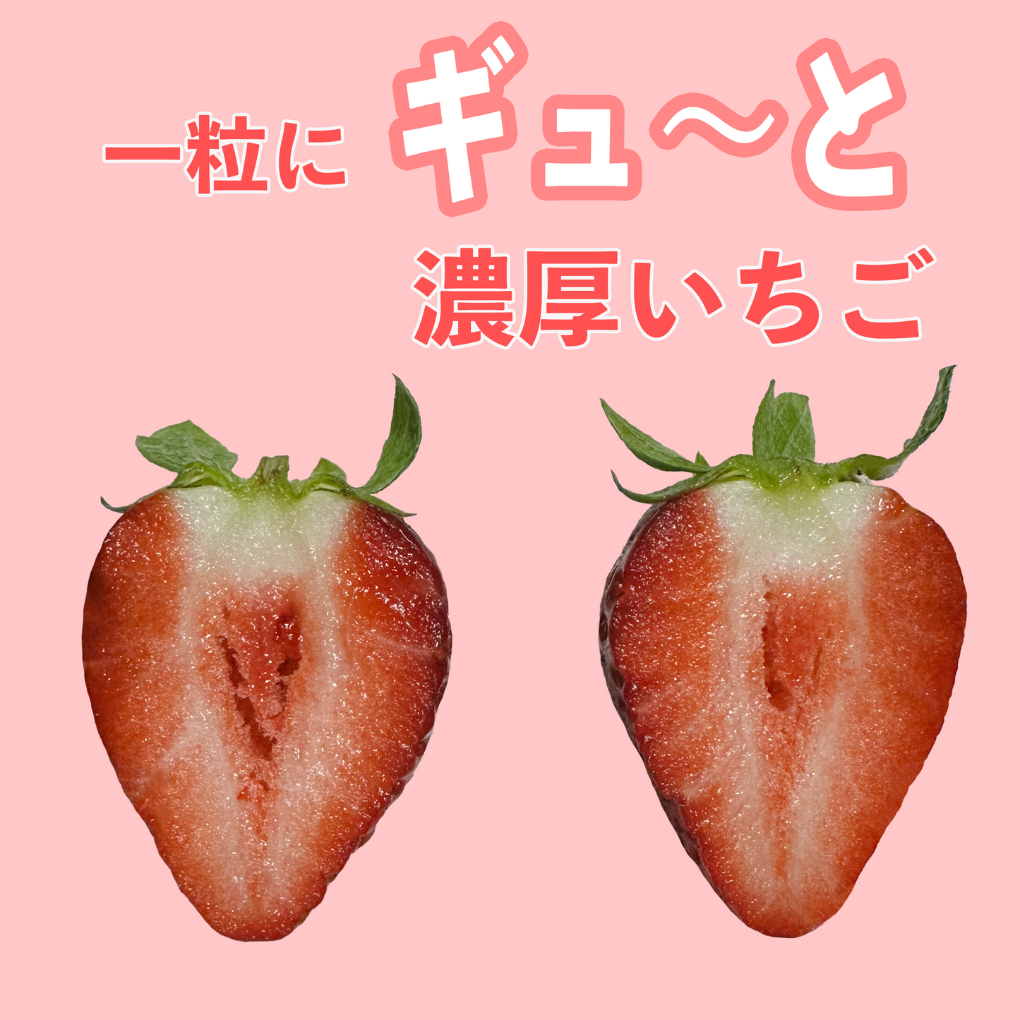 山口県柳井市で見つけた一粒にギューっと愛情と旨味が詰まった【谷さんちのいちご】
