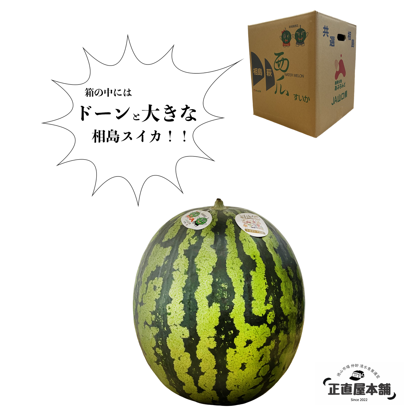 あま〜く!美味しい!!萩相島スイカ【山口ブランド登録スイカ】