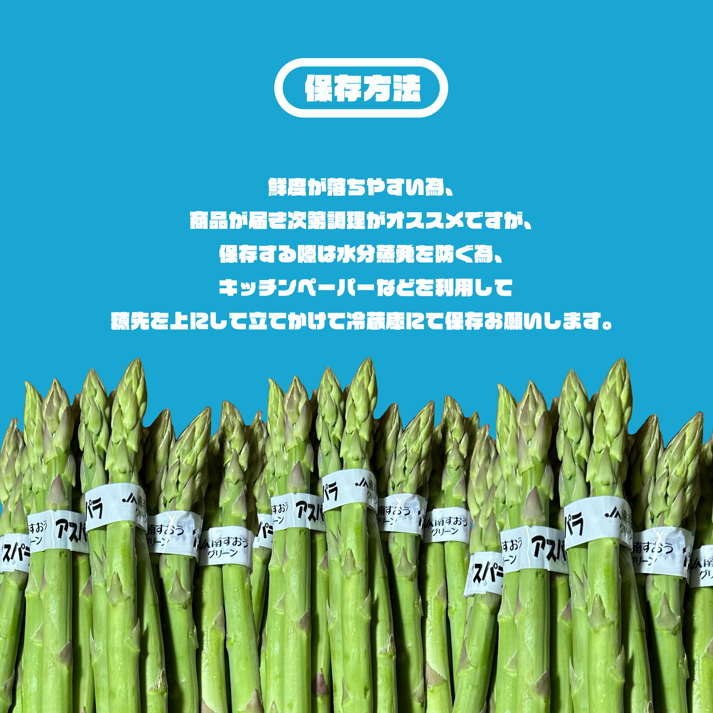 コクと旨味・鮮度に長けた【山口県南すおう産のグリーンアスパラ】