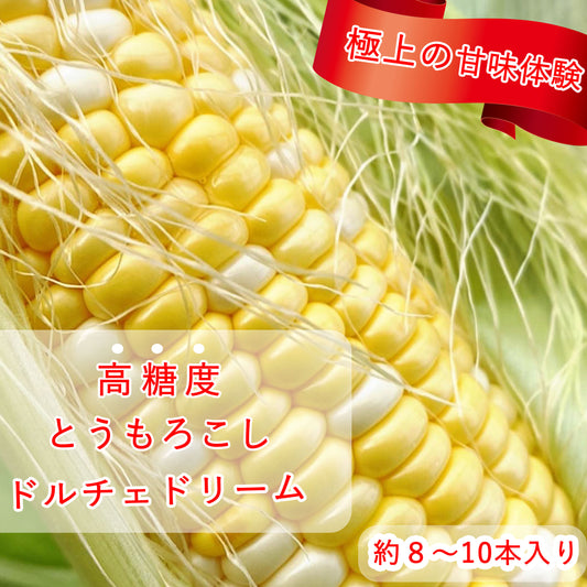 『スイートコーンの最高峰、ドルチェドリーム』