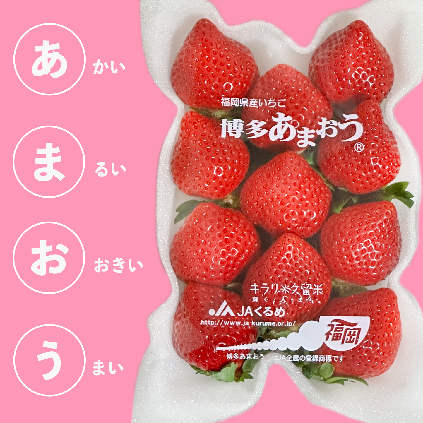 福岡県が産んだ大粒いちご 博多「あまおう」