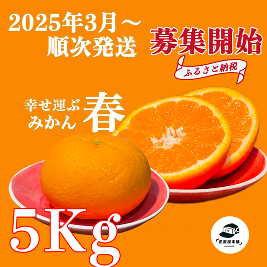 【ふるさと納税返礼品2025募集開始】みかんの島:瀬戸内のハワイ周防大島町から幸せ運ぶ春みかん【ゆめほっぺ】