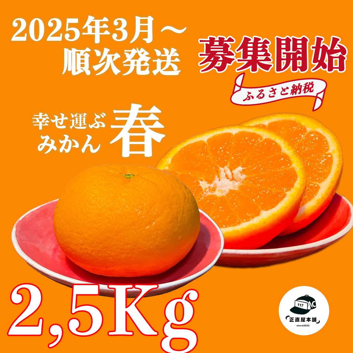 【ふるさと納税返礼品2025募集開始】みかんの島:瀬戸内のハワイ周防大島町から幸せ運ぶ春みかん【ゆめほっぺ】