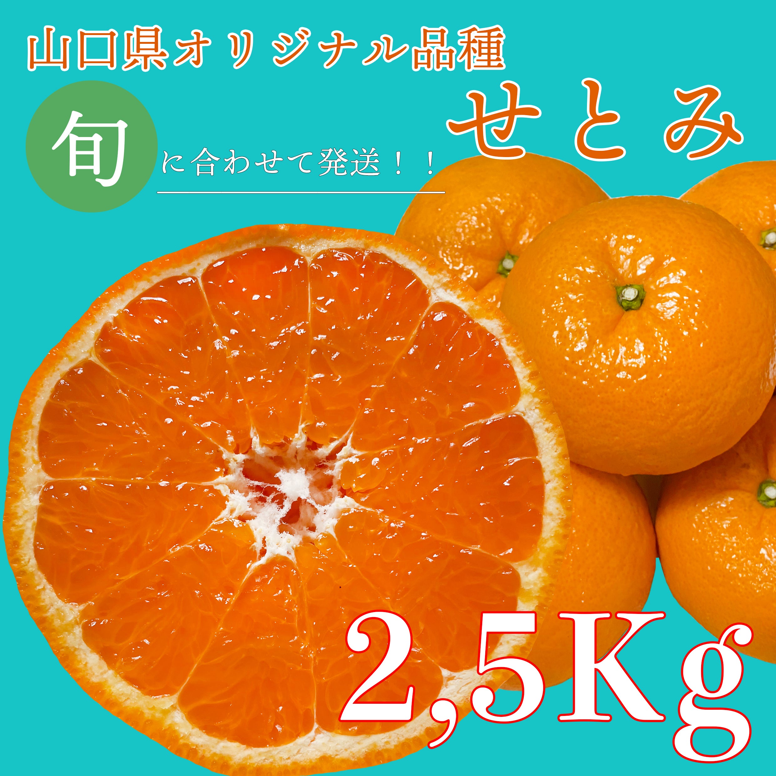 B級季節の柑橘詰合せ🍊10キロ | 柑橘直送 YAJIMA農園