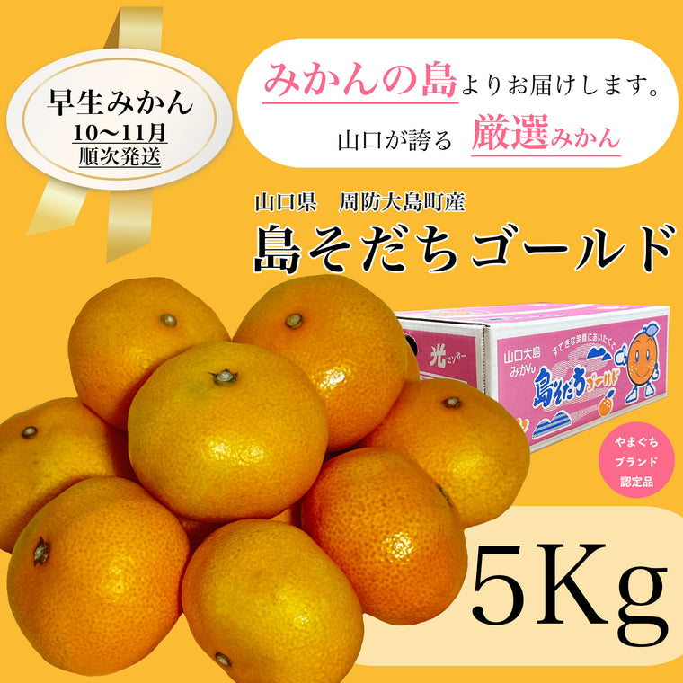 島そだちゴールド 早生 5kg