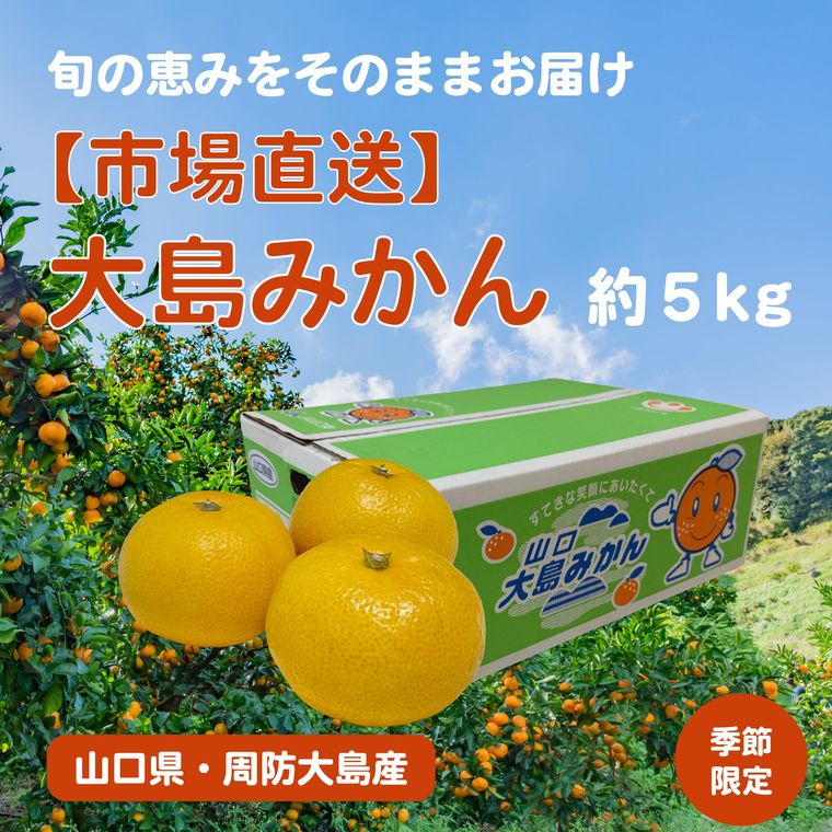 大島みかん 約5kg