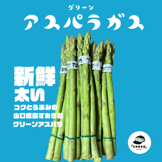 コクと旨味・鮮度に長けた【山口県南すおう産のグリーンアスパラ】