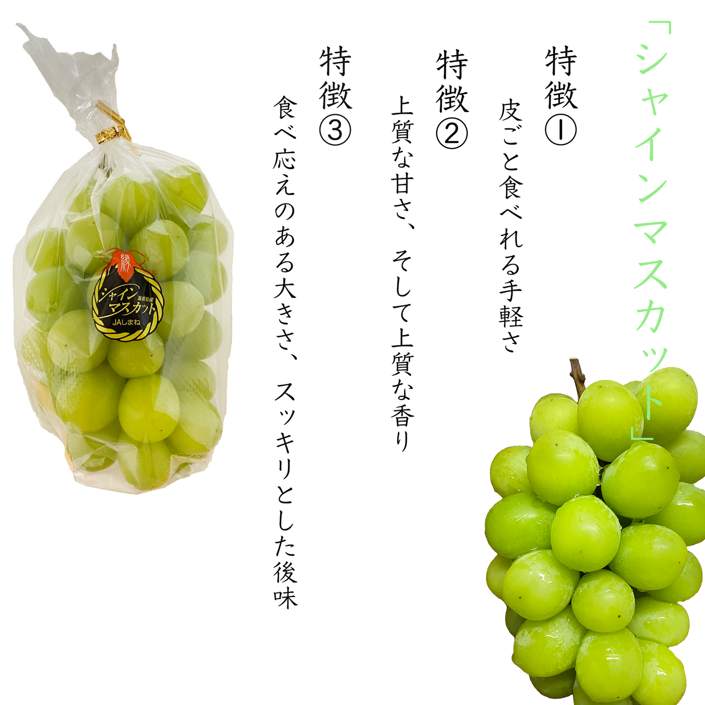 【大粒プレミアム】パリとあまーい近年人気沸騰中のシャインマスカット・(島根県産 シャインマスカット)