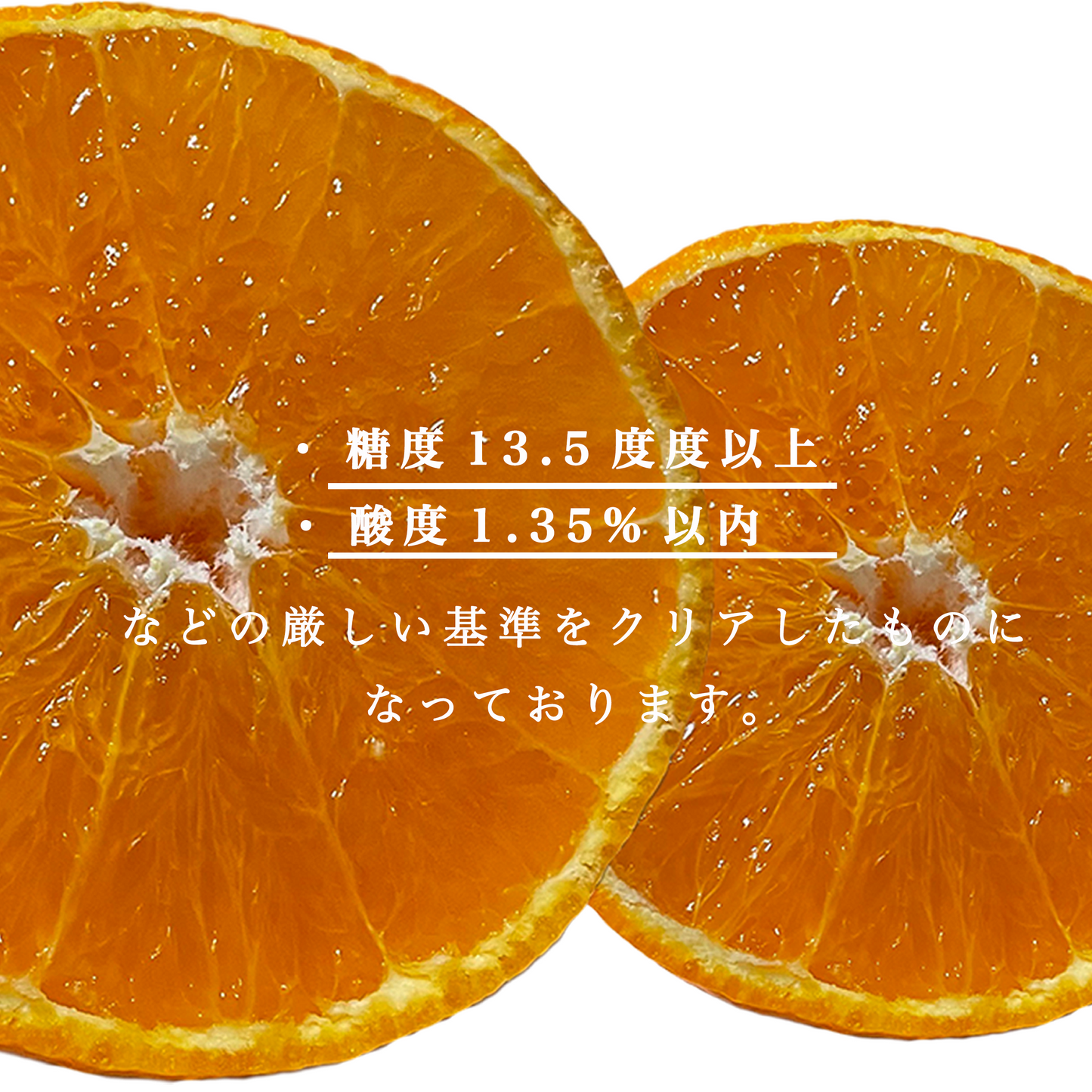 【ゆめほっぺ】みかんの島:瀬戸内のハワイ周防大島町から幸せ運ぶ春みかん