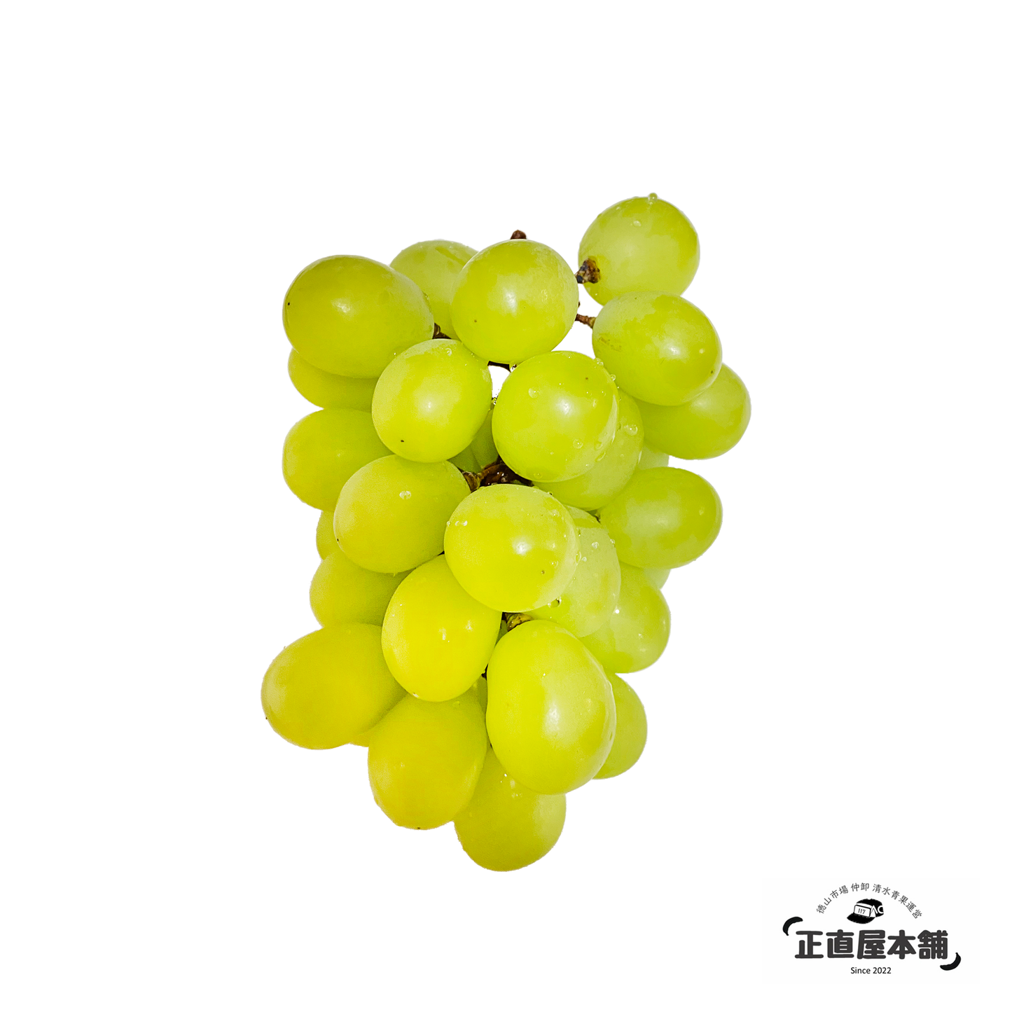 【8-9月順次発送】肉厚ジューシー皮ごと食べれる 【福岡県久留米産 シャインマスカット】