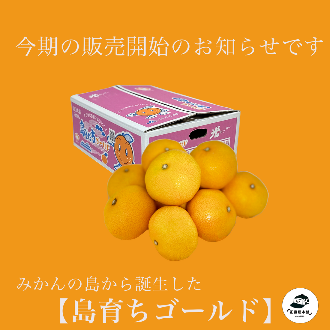 【周防大島産みかん】を通販でお取り寄せ！～瀬戸内の恵みを自宅で楽しもう～