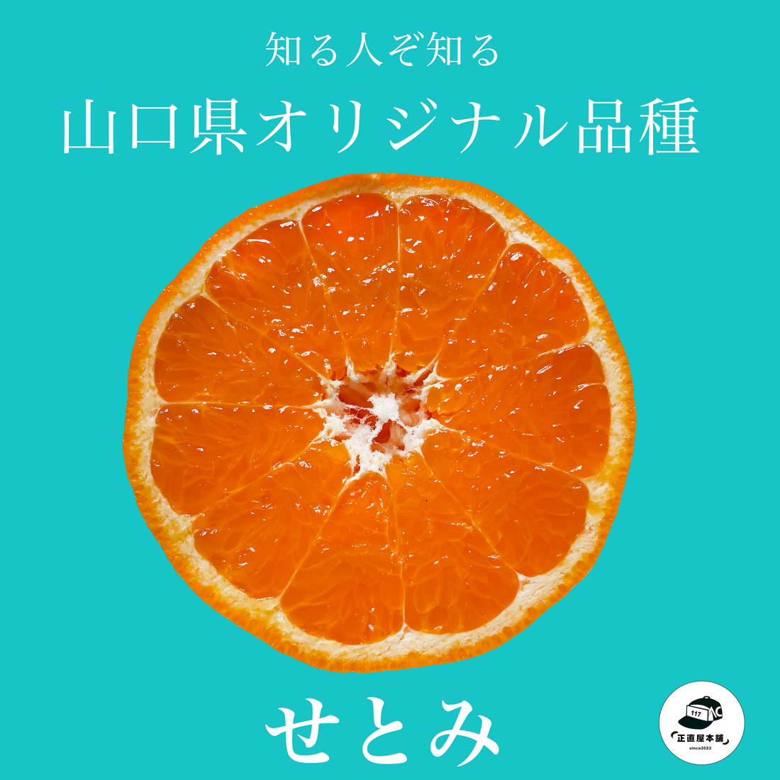 山口県のみで栽培される希少な柑橘【せとみ】