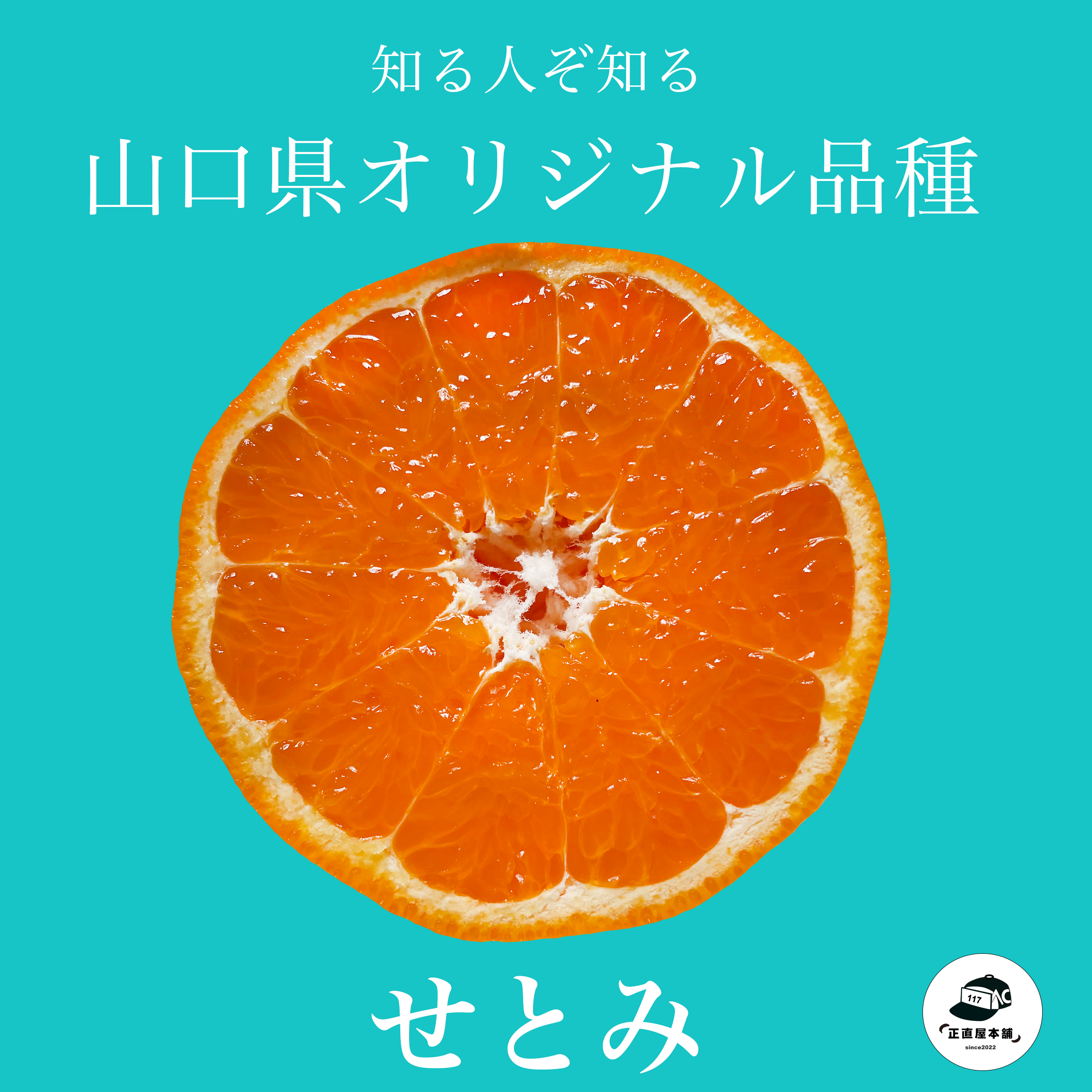 山口県発ブランドみかん　せとみ10kg せとみ」山口県産 柑橘 秀 S〜3L 約5kg 産地箱 ※常温｜お取り寄せ