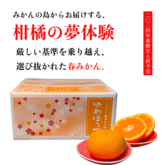 ゆめほっぺ