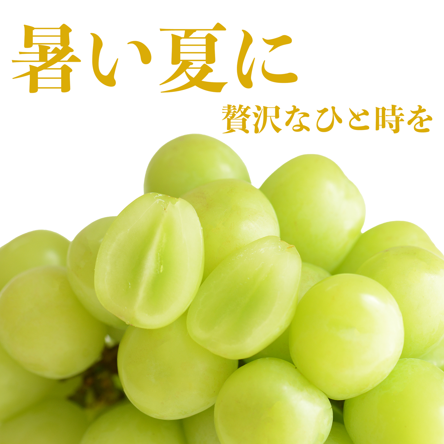 【大粒プレミアム】パリとあまーい近年人気沸騰中のシャインマスカット・（島根県産　シャインマスカット）