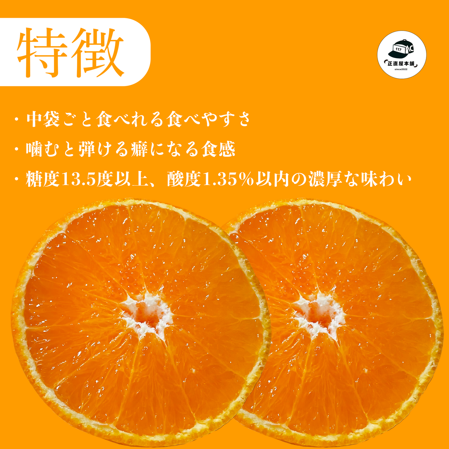 【ふるさと納税返礼品2025募集開始】みかんの島：瀬戸内のハワイ周防大島町から幸せ運ぶ春みかん【ゆめほっぺ】