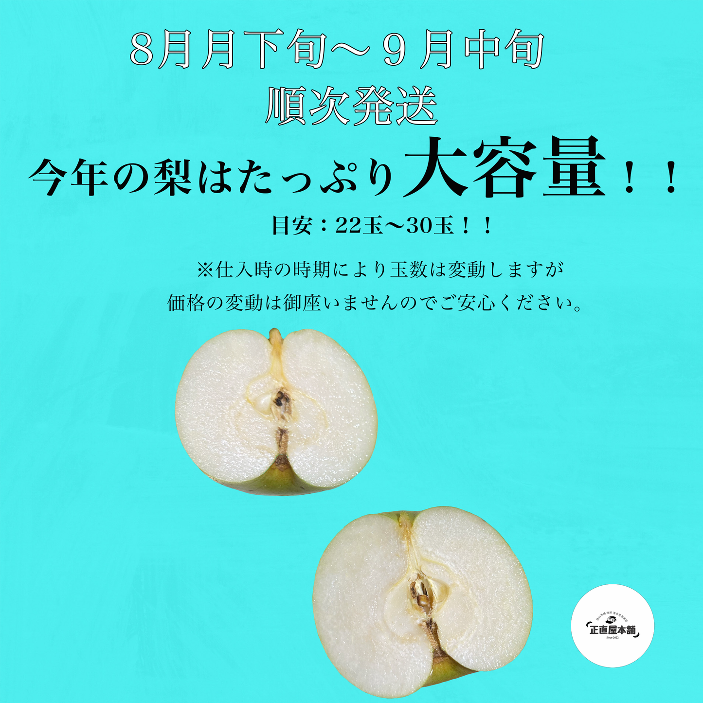 山口県のカルスト大地が生み出す20世紀梨　【山口県美祢市産秋芳梨】