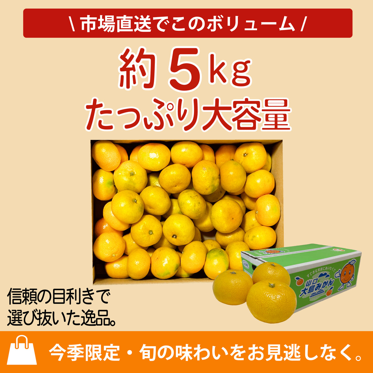大島みかん 約5kg