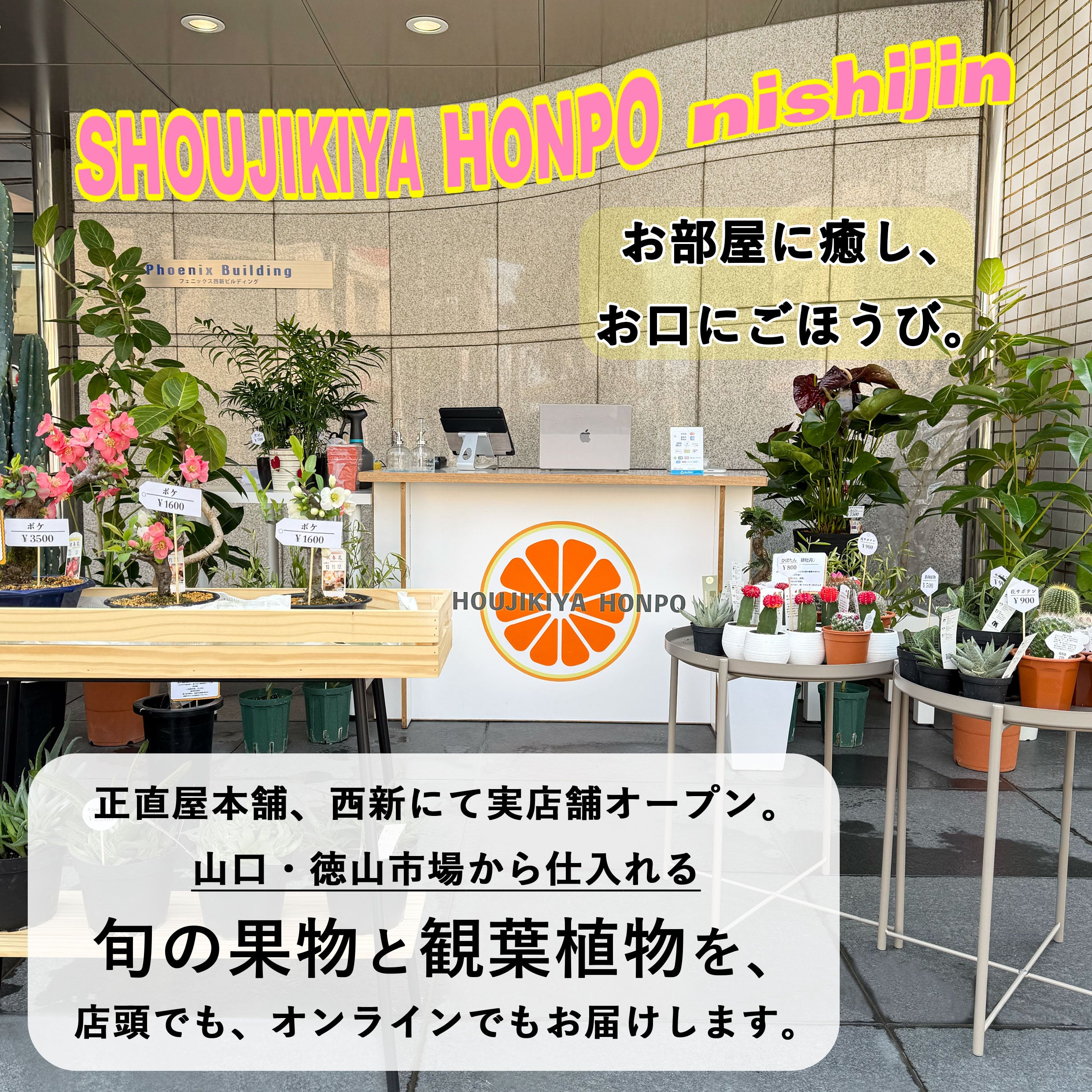 山口県周南市 野菜と果物のネットショップ 正直屋本舗