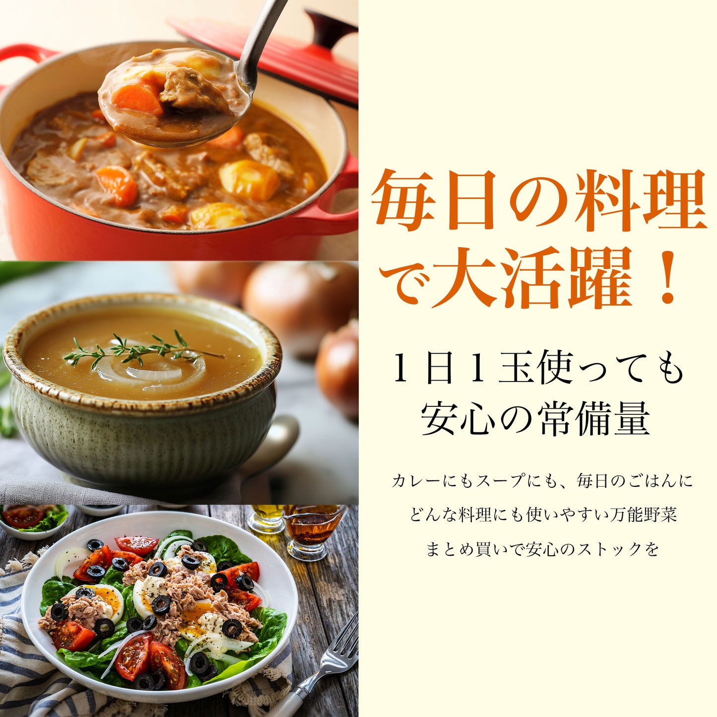 玉ねぎ 5kg（北海道産・山口県産）