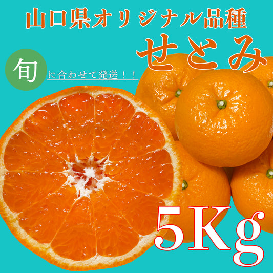 【せとみ5ｋｇ】　山口県のオリジナル品種の春みかん